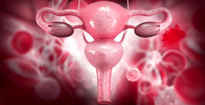 Sistema reproductor femenino
