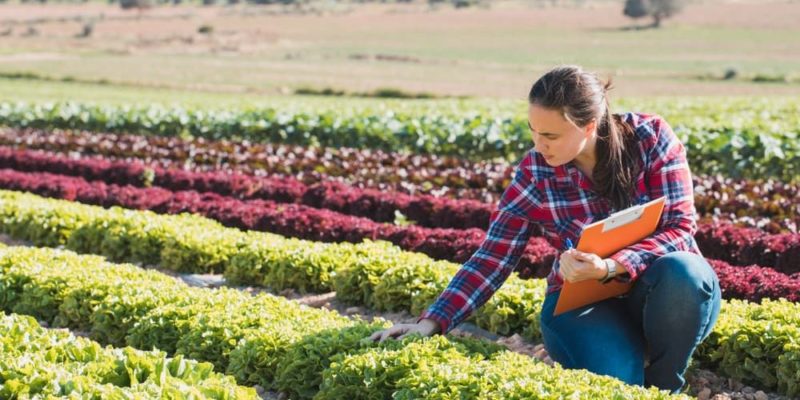 desarrollo sustentable agricultura