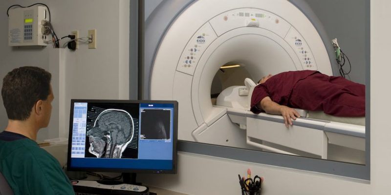 afecto neurociencia
