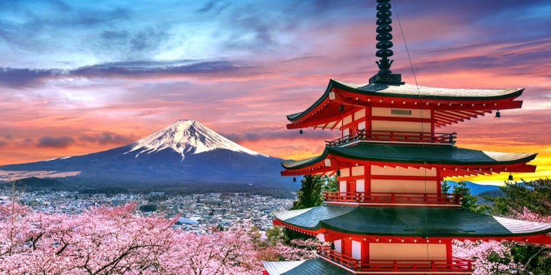 El monte Fuji está rodeado de cerezos en flor al atardecer.